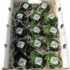 aguacate hass importación