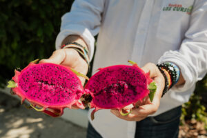 Pitaya pitahaya
