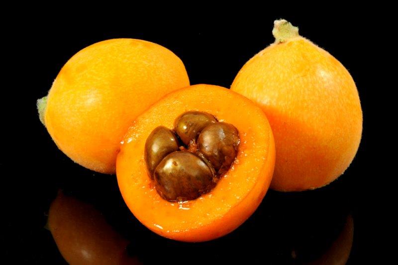 El níspero en la Costa Tropical de España: una fruta de sabor dulce y saludable